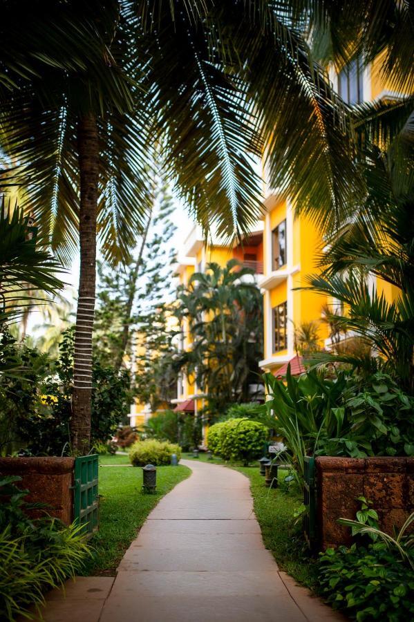 Adamo The Bellus Calangute Hotel Exterior photo